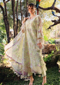 Luxury Lawn Collection – Grace Meets Comfort